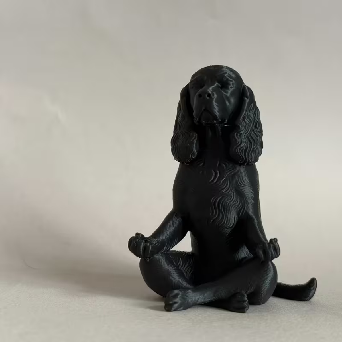 Newest 3D Printed Black Medita - đánh giá và giá Yoga Fitness Model